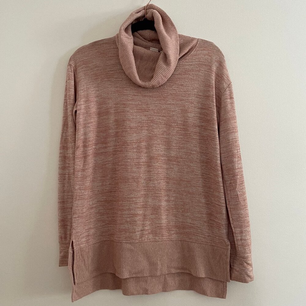Gap Turtleneck